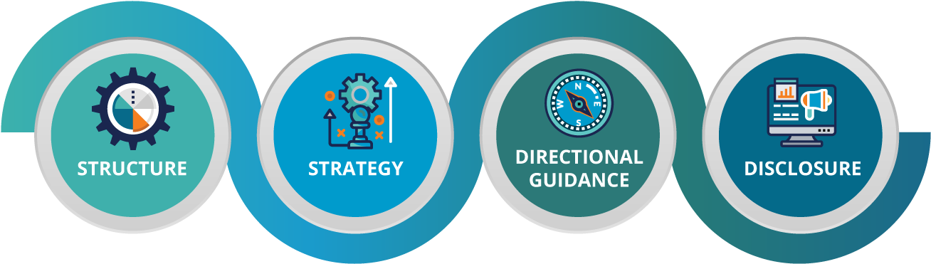 Rivel's Corporate Responsibility Advisory Process Chart