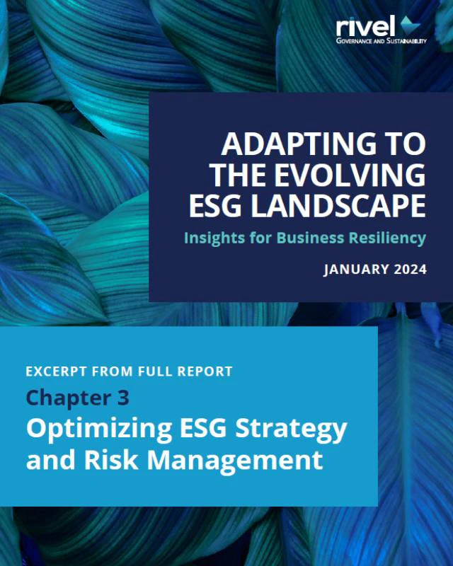 White Paper Excerpt: Optimizing ESG Strategy and Risk Management